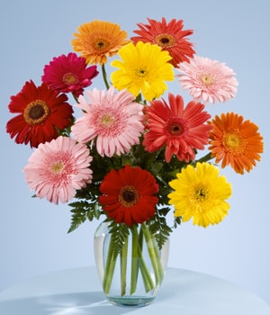 Foto de Florero con 12 gerberas 